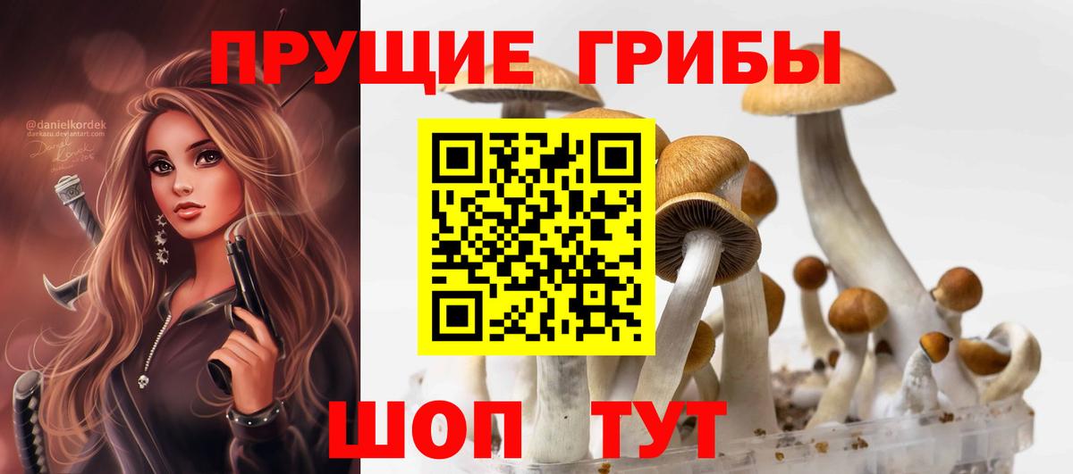 Псилоцибиновые грибы Cubensis Камышин