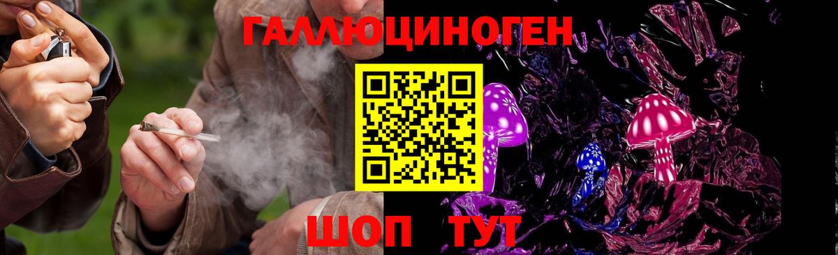 Псилоцибиновые грибы мицелий  Вход с VPN  купить  сайты  Камышин 
